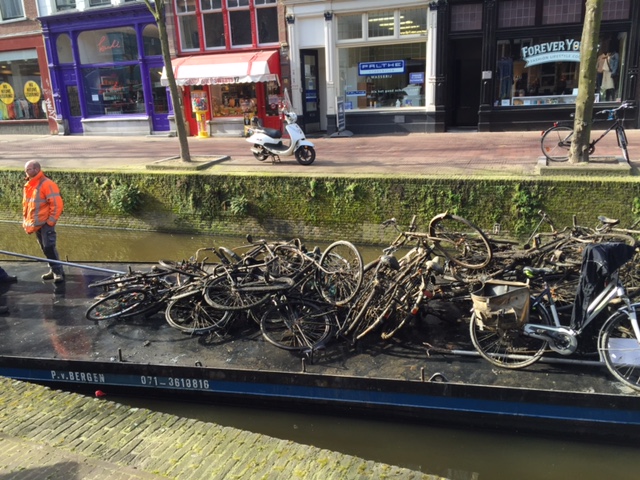 Canals being cleaned of excess bikes