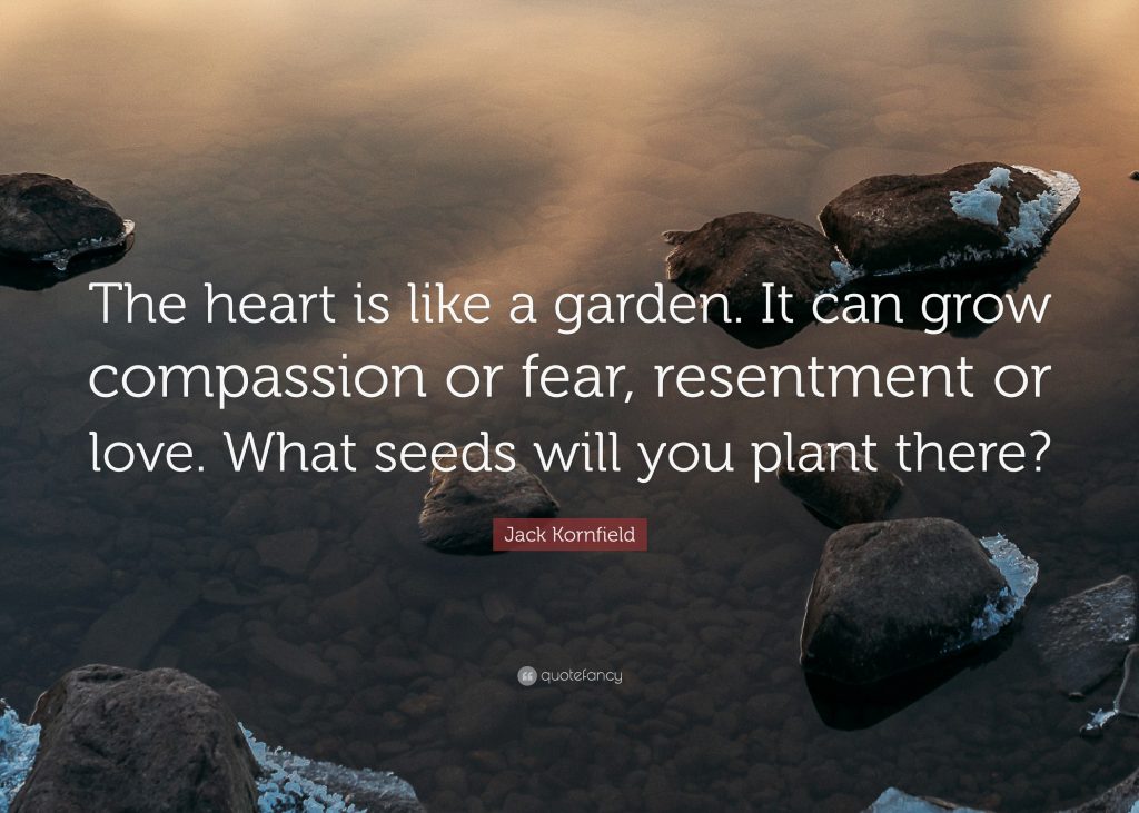 Planting seeds in the heart